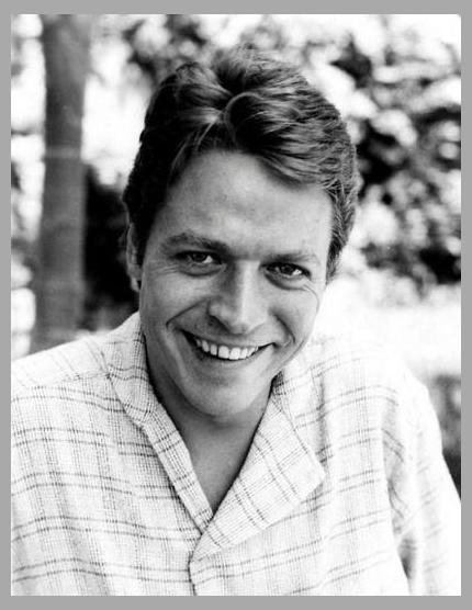 Robert Palmer